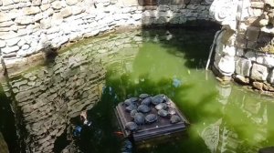 Геленджик. Самое интересное. Куда поехать. Куда пойти.