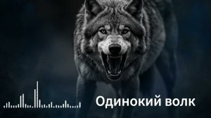 Одинокий волк     #шансон #музыкавмашину  #музыкадлядуши