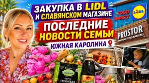 Лиса в Америке. Что у нас НОВОГО после ПЕРЕЕЗДА？!⧸ Шикарный LIDL⧸Мега КРУТАЯ закупка продуктов⧸ Влог