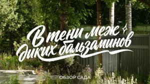 Про современный русский сад, вдохновленный дачами в Переделкино и поэзией Пастернака / Sewera
