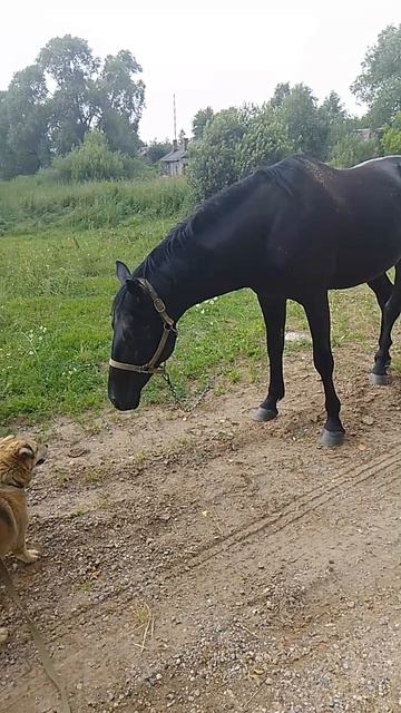 1000054406.mp4