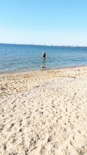 море Бадди смотреть онлайн