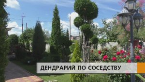 Кусочек Сочи в Набережных Челнах