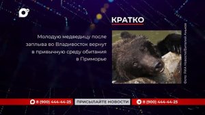 Кратко / 02.07.26