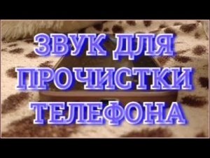 Звук для прочистки динамика телефона от воды пыли грязи снега Прочистка динамика телефона
