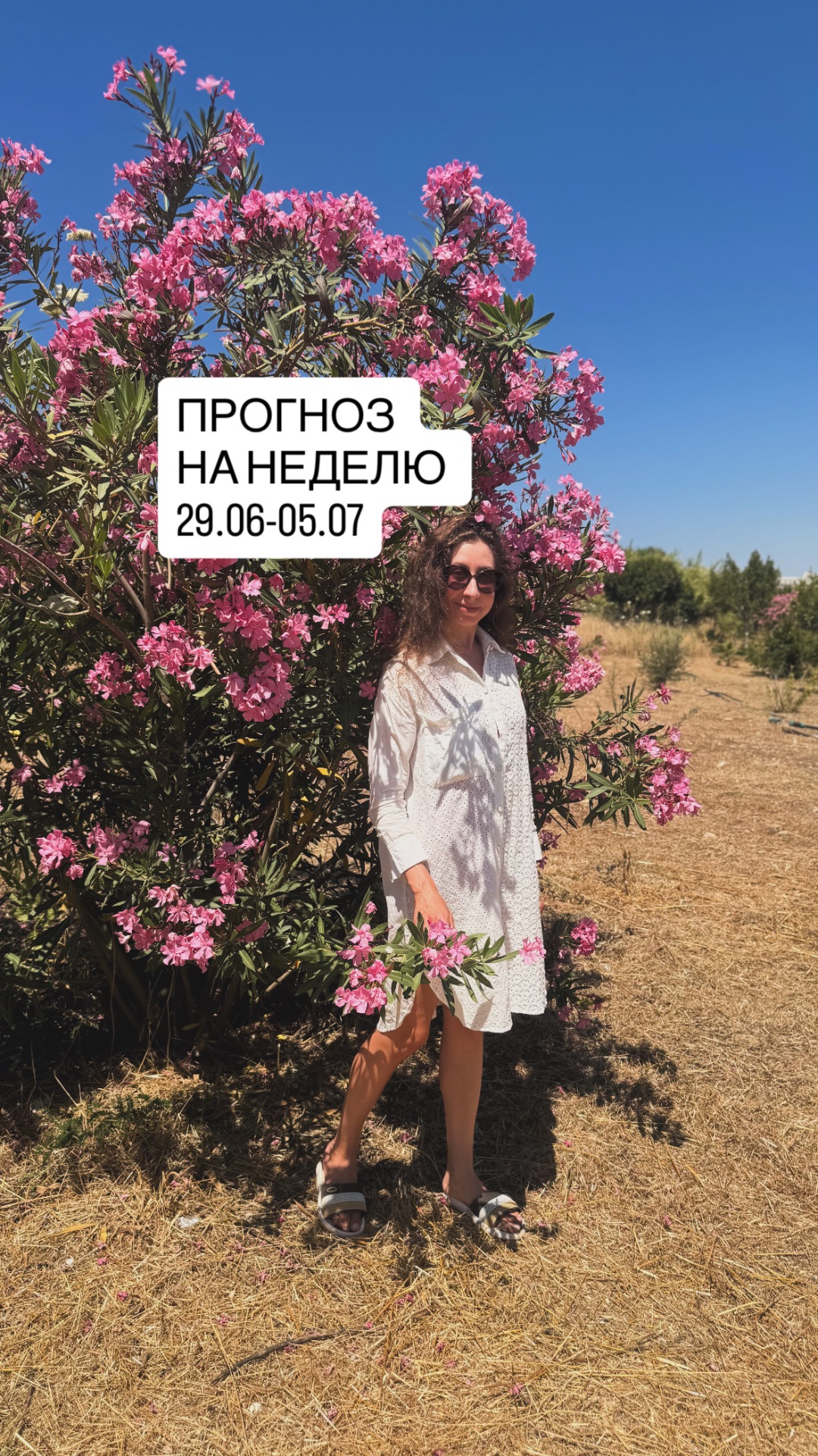 Прогноз на неделю 29.06-05.07