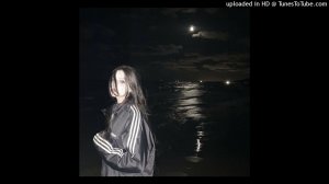 nicebeatzprod-я ненавижу тебя (Speed up)