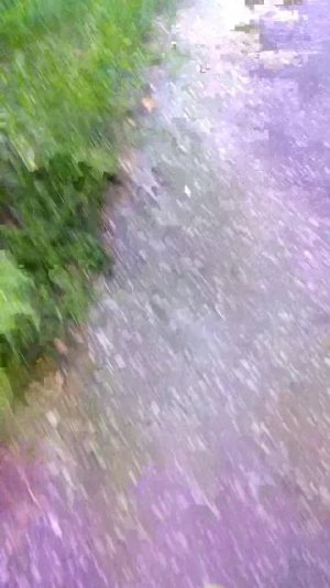 снова гуляю по городу