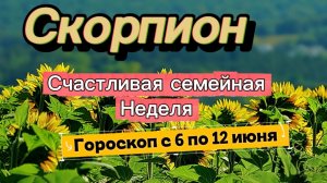 СКОРПИОН _ ГОРОСКОП 💕  с 6 по 12 июля ‼️ #гадание #таро #раскладтаро