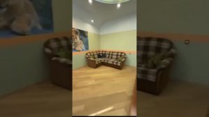 1000219007.mp4
