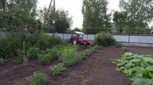 Второе окучивание и Эксперимент
