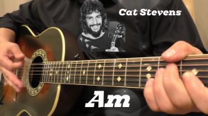 Cat Stevens - Wild World