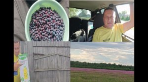 День в деревне.Едем в лес .Болталка .Доставка продуктов.