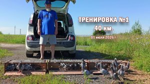 тренировка