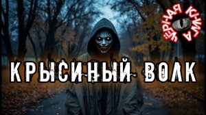 КРЫСИНЫЙ ВОЛК. Мистика. Аудиокнига. История на ночь. Чёрная книга
