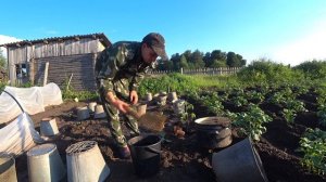 СПАСАЮ КАПУСТУ КАК МОГУ, ОГОРОДНЫЕ ХЛОПОТЫ.
