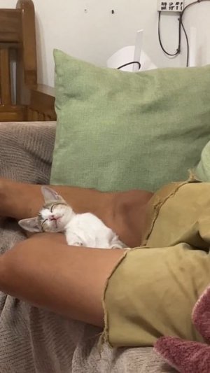 Думаю, я не двинусь с места в течение следующих 3 часов