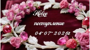 Новое поступление 04-07-2026