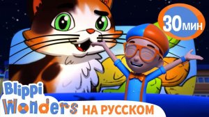 Зачем Кошке Усы_ _ Обучающие мультики для детей _ Blippi Russian