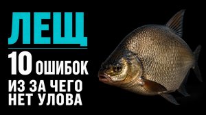 ЛЕЩ почему не клюет ? 10 ошибок, из-за которых ты останешься без рыбы