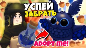 Срочно😱Как получить НОВУЮ СОВУ БЕСПЛАТНО в Адопт Ми! КАК ПОЛУЧИТЬ СОВУ в Adopt Me ЛЕТНЕЕ ОБНОВЛЕНИЕ