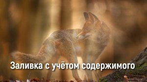 Заливка с учетом содержимого в AliveColors