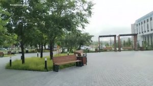 Декоративные растения у фитнес центра Метелица