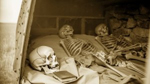 Радист услышал сигнал на мёртвой частоте — и обнаружил то, что искали 11 лет