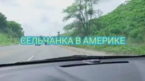 Сельчанка в Америке ШОПИНГ В США МАГАЗИН СЕКОНДХЕНД