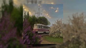 Вайб лета-весны |музыка|вайб|