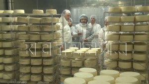 Результаты реализации проекта Производительность труда оценили в правительстве Нижегородской области