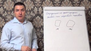 Определяем по фото мертвый или живой как понять есть ли экстрасенсорные способности