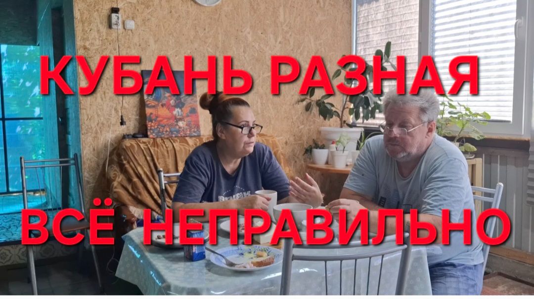 1332 Всё Неправильно. Кубань она оазная.Городские Станичники. смотреть онлайн
