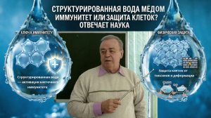 Структурированная вода мёдом: ключ к иммунитету или физическая защита клеток?