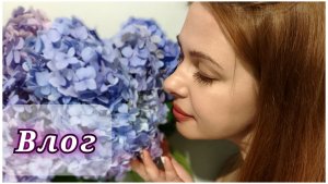 154/26. Он исполнил мою мечту😍 // Что это за г....?! // Спасаю цветы // Уборка в кабинете //