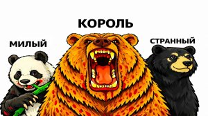 Все медведи мира за 8 минут