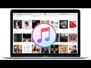 Скачиваем iTunes на ПК