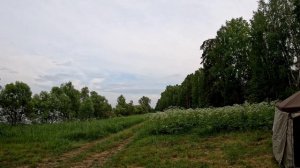 Ягдтерьер Дар на первой  рыбалке, река Енисей.
