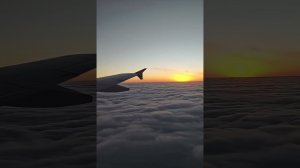 Песня Дайте жить