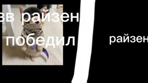 кто победил?