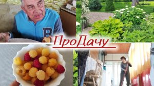 Как проходит утро на даче.