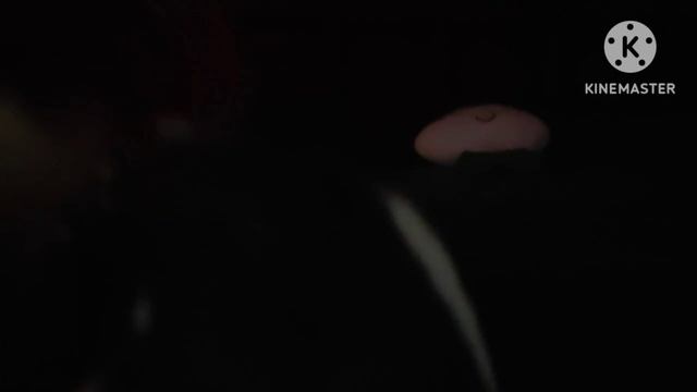 котёнок и его друзья пилотная серия звука нет то есть (((((((