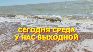 131. Съездили на море. Искусали слепни.