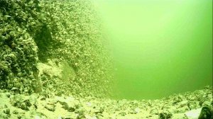 1000016799.mp4Волга гл.5м.02.07.2026г.