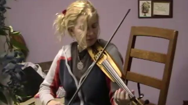 СТРУННО-СМЫЧКОВЫЕ ИНСТРУМЕНТЫ - ПОЯВЛЕНИЕ. Пошетта