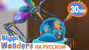 паутина _ Изучай этот мир вместе с Блиппи _ Обучающие видео для детей _ Blippi