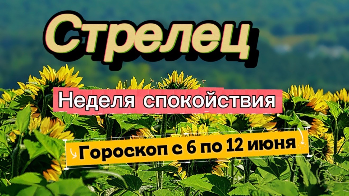 СТРЕЛЕЦ _ ГОРОСКОП 💕 с 6 по 12 июля ‼️ #гадание #таро #раскладтаро смотреть онлайн