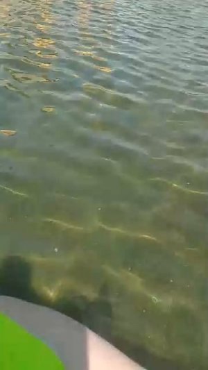 только