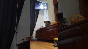 1000012906.mp4