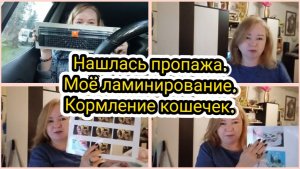 Нашлась пропажа.Моё ламинирование.Кормление кошечек.